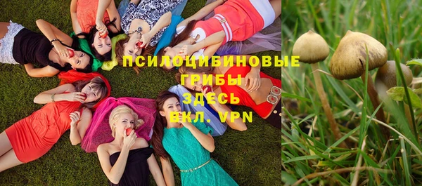 MDMA Аркадак