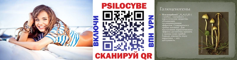 Псилоцибиновые грибы Cubensis  Гвардейск 